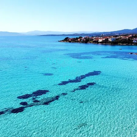Delfini Sul Mare * Golfo Aranci