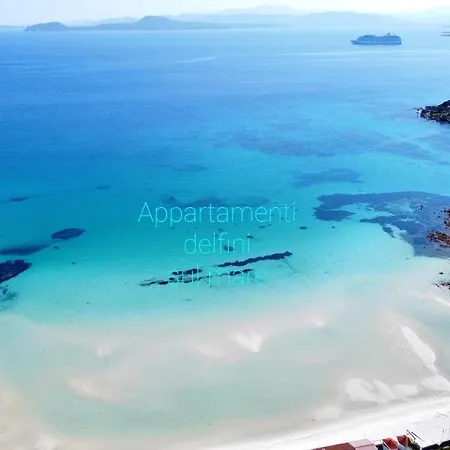 Appartamento Delfini Sul Mare