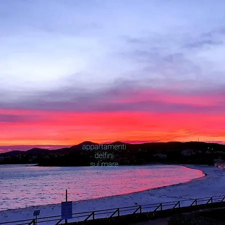 Delfini Sul Mare * Golfo Aranci