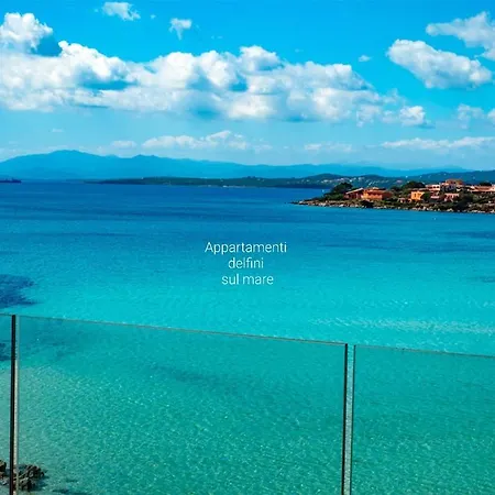 Delfini Sul Mare * Golfo Aranci