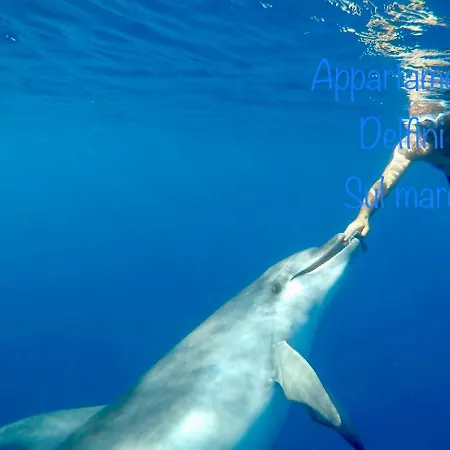 Appartamento Delfini Sul Mare