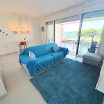 Delfini Sul Mare Golfo Aranci