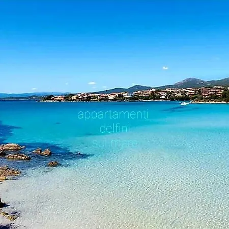 Delfini Sul Mare *