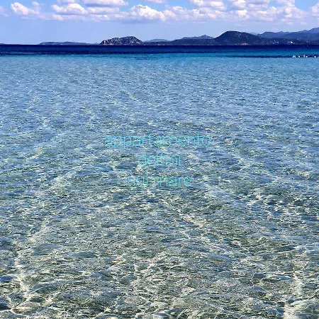 Apartmán Delfini Sul Mare *