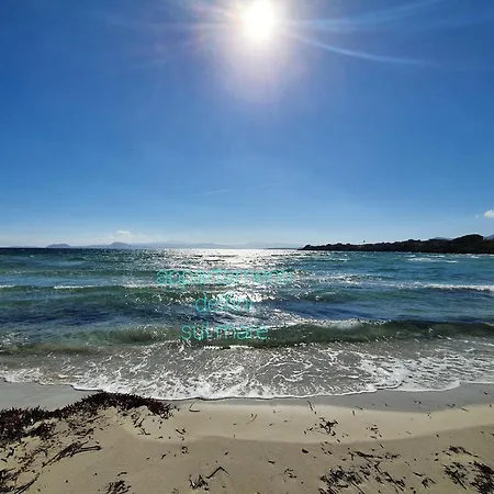 Delfini Sul Mare * Golfo Aranci