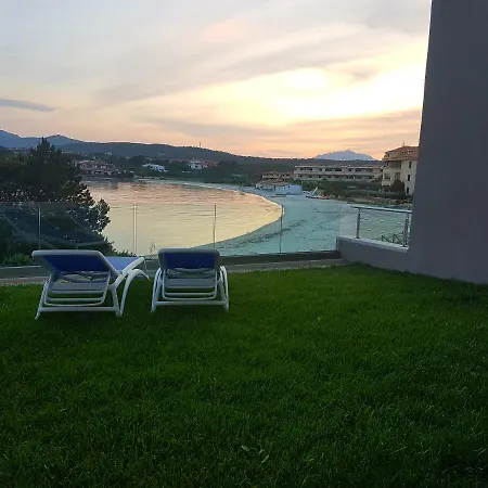 Delfini Sul Mare