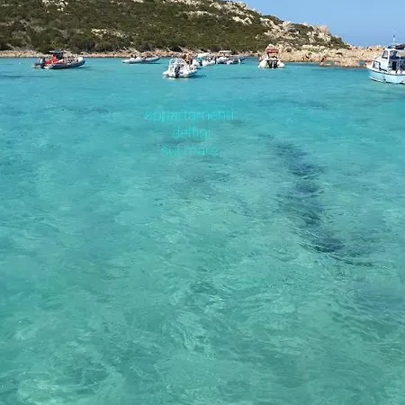 Lejlighed Delfini Sul Mare *