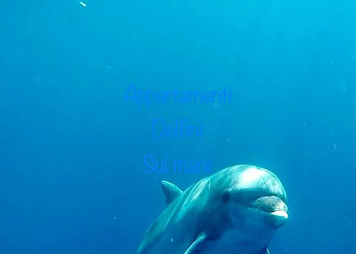 Delfini Sul Mare Гольфо-Аранчи