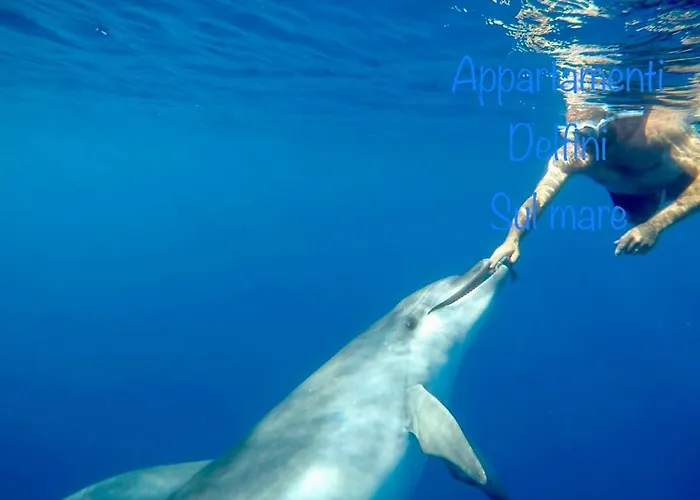 Апартаменты Delfini Sul Mare