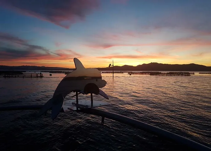 Delfini Sul Mare Апартаменты *